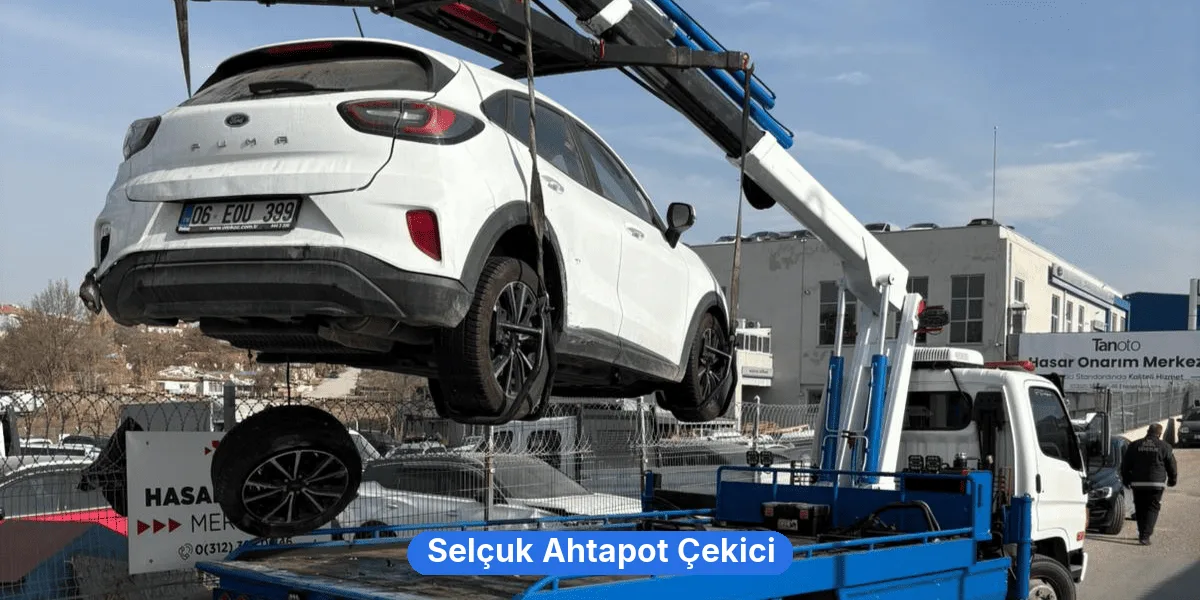 Selçuk Ahtapot Çekici